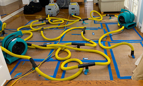Professional Burst Pipe Water Damage technician working in Summerfield, MD
